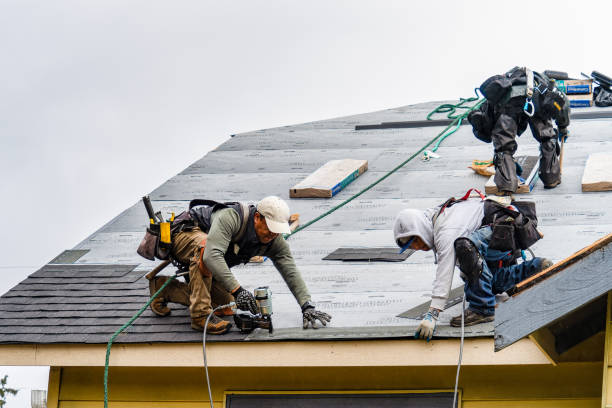 Professional Gutter Installation technician working in Coon Rapids, IA